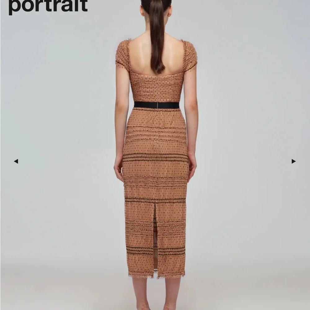 Tan Dot Mesh Shirred Midi Dress - Picture 3 of 3